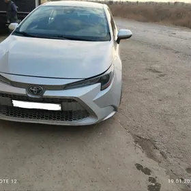 Toyota Corolla 2020