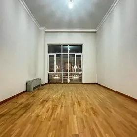 Çehow Elitka kotež tarapy