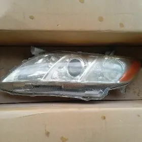 okuz kamri fara haliji