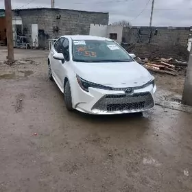 Toyota Corolla 2022