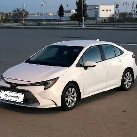 Toyota Corolla 2021