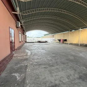 Satlyk Yalkym plan 8sotok