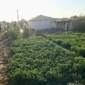 gyssagly satlyk jaý