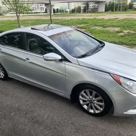 Hyundai Sonata 2010