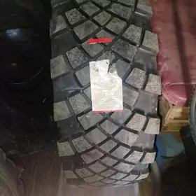 teker..тигир  wehusi