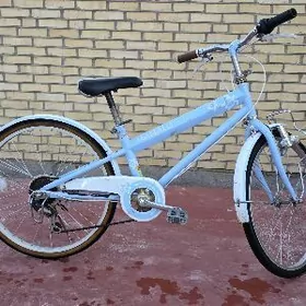 welik Tigir 22lik JAPAN