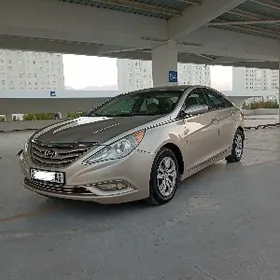 Hyundai Sonata 2010