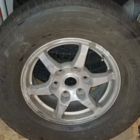 pejero diska pakryska