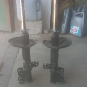 каролла халижи