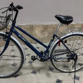 tigir Ýapoşga welik