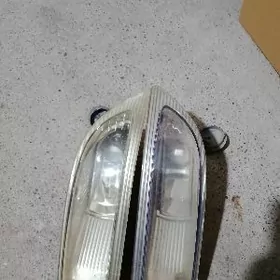 siennaň tumannik cyrasy