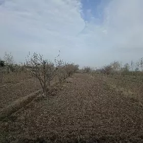 ekin ekmek üçin ýer