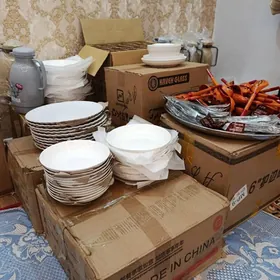 satlyk toy pasudalar