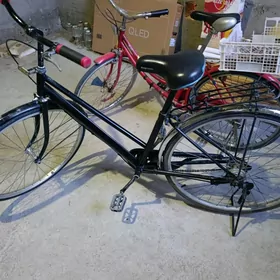 Welsewit  27 lik (Tigir )