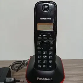 Panasonic
