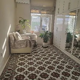 Ковер  turkmen haly