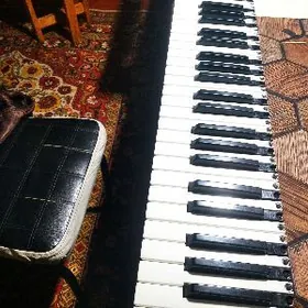 Korg ekran senser korpys