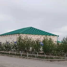 Satlyk jaÿ Altyn sâhra