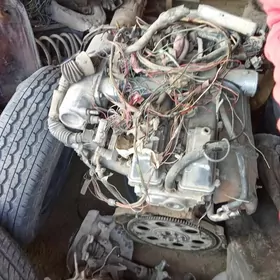 2.5 mark mator karopga