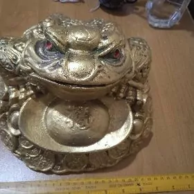 Денежная лягушка -капилка