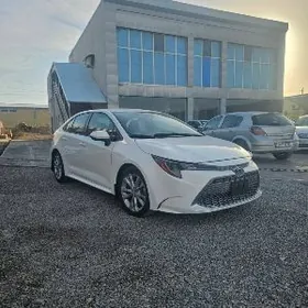 Toyota Corolla 2021