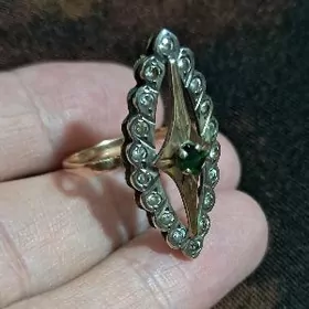 gyzyl gadymy orsynky