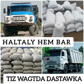 MITI DERS GUM ÇAGE SEMENT MYTY