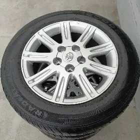 16 limited disga pakrişga