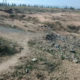 Satlyk Anew bos yer kotez yer