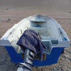 леген ямаха25