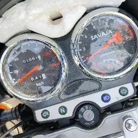 Yamaha Artistic 2024