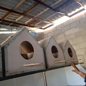 kepderi гнездо