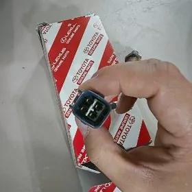 католикор датчик.katolizator d