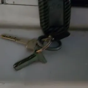 pult majigar tapylly