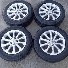 GlX Dysga pakryşga 16 morda