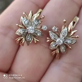 gyzyl gulakalka gadymy