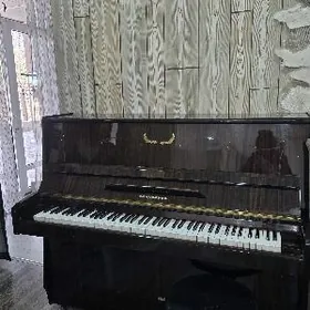 Pianyna(пианино)