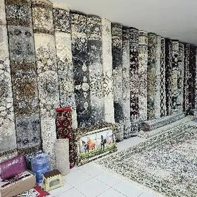 SKITKADA EYRAN TURK HALY