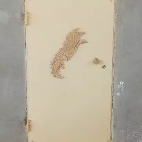 Jay arenda kreyna berjek bar