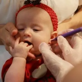 Gulak desmek прокалывание уши