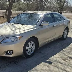 Toyota Camry 2011