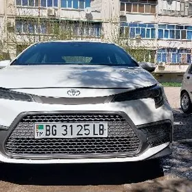 Toyota Corolla 2019