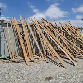 POLLUK AGAC JAY ALYAN