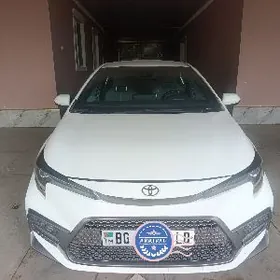 Toyota Corolla 2019