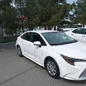 Toyota Corolla 2020