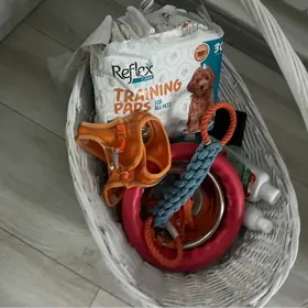 передержка собак