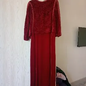 Toy köŷnek pombarh