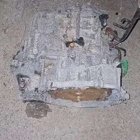 karopka okuz kelle 2,4