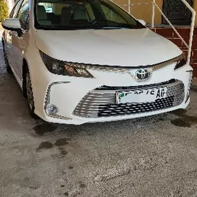 Toyota Corolla 2021