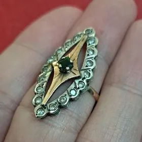 gyzyl gadymy orsynky